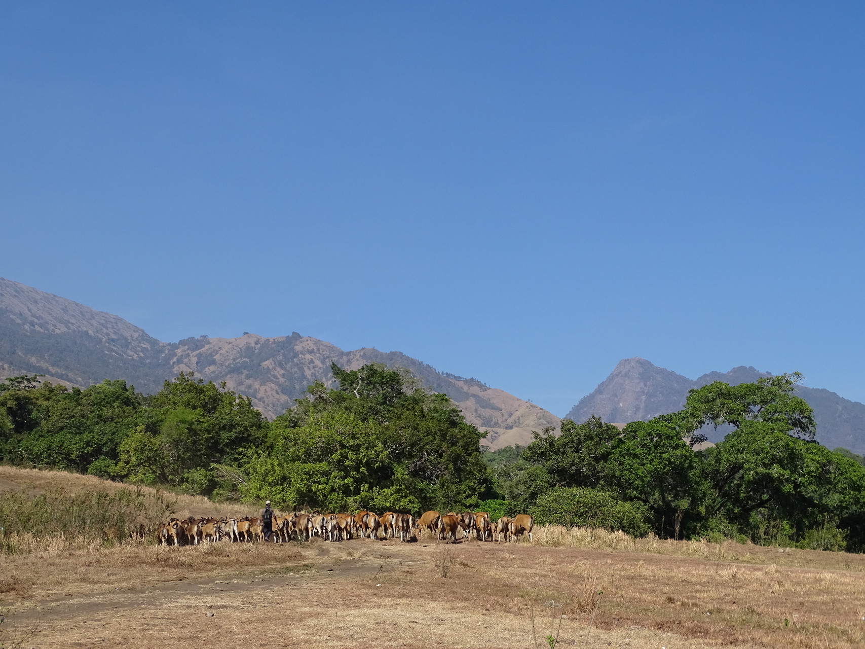 Gunung Rinjani Trekking Start Sembulan3