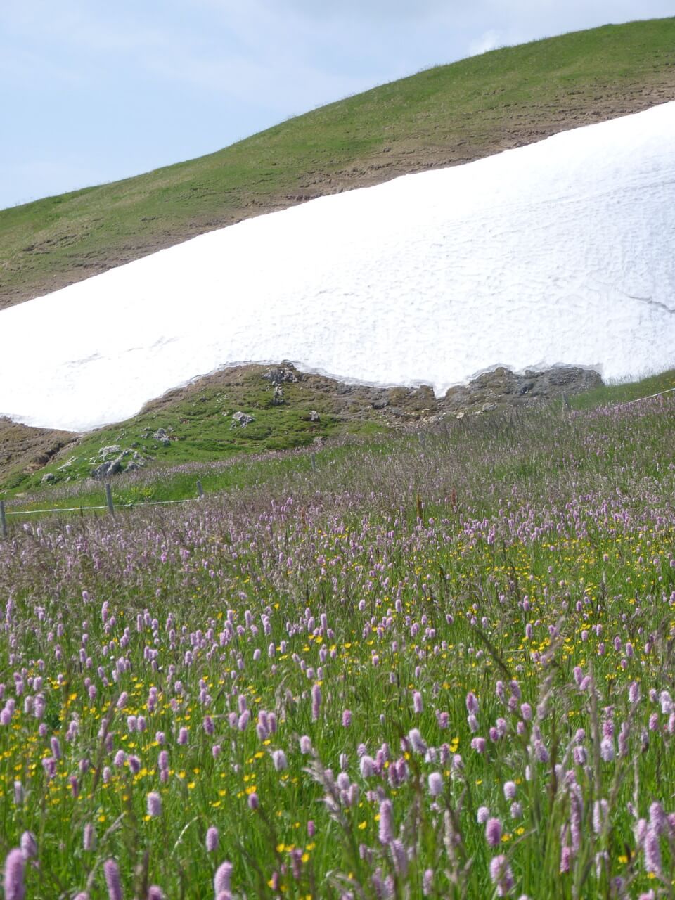 Nagelfluhkette wandern 15