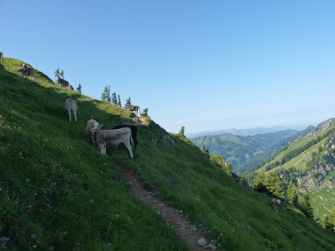 Nagelfluhkette wandern 6