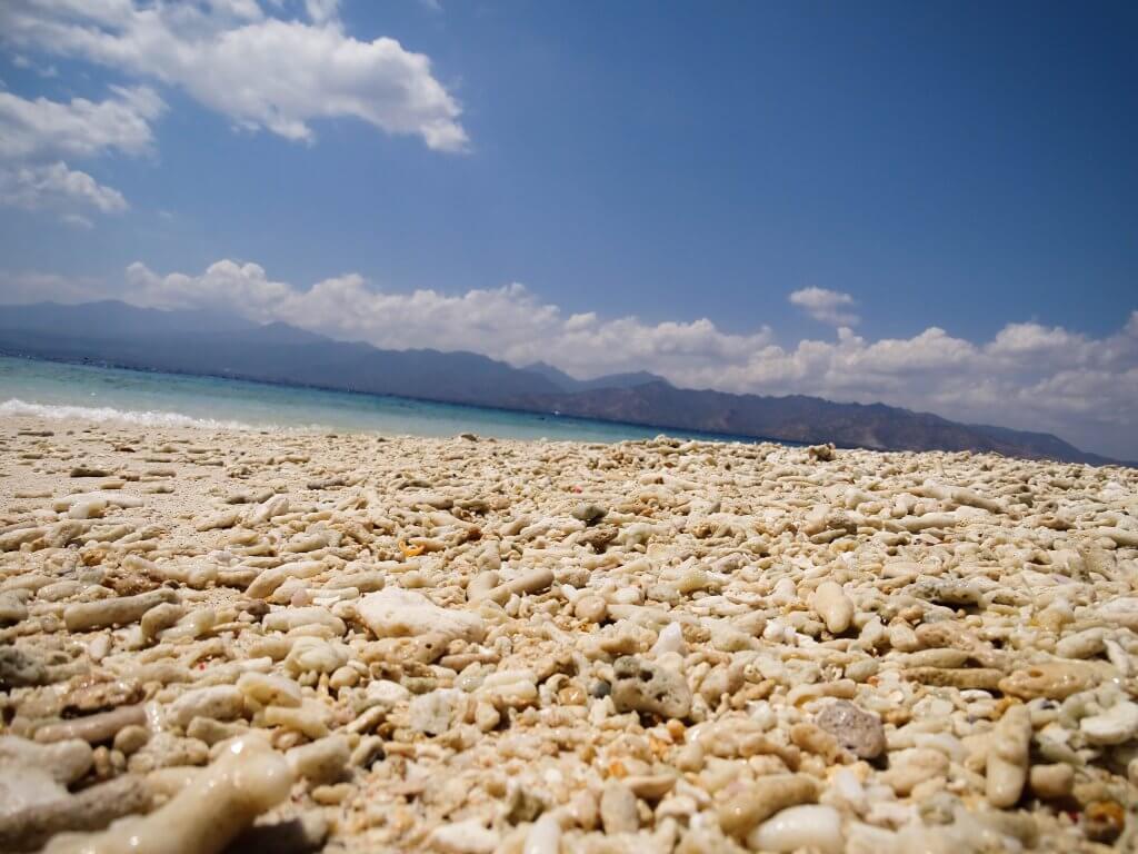 Gili Meno - Gili Islands-11