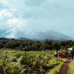 Wald Mount Meru Trekking