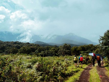 Wald Mount Meru Trekking