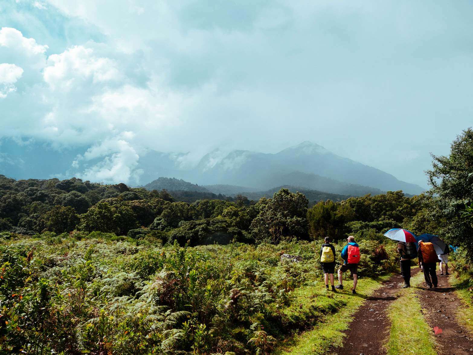 Mount_Meru_Trekking_Tanzania_Expeditions-10