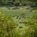 Mount Meru Trekking