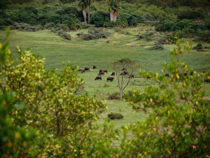 Mount Meru Trekking