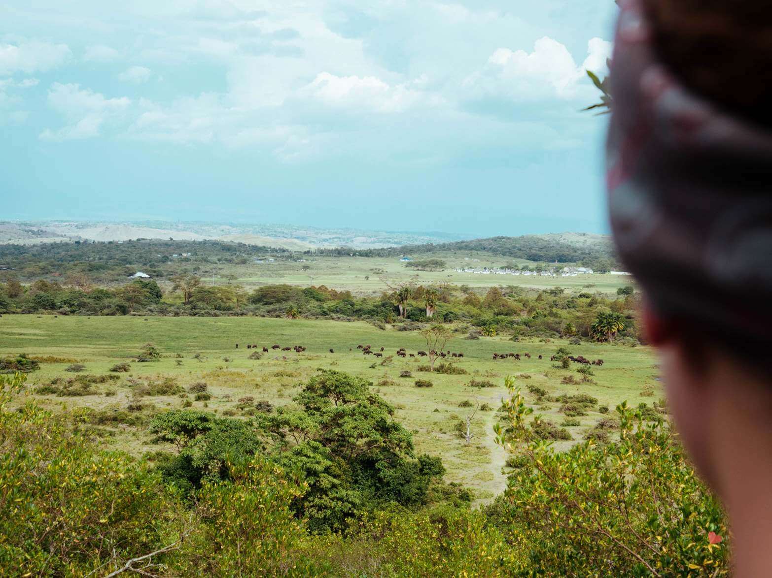 Mount_Meru_Trekking_Tanzania_Expeditions-106