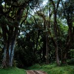 Trekking auf den Mount Meru