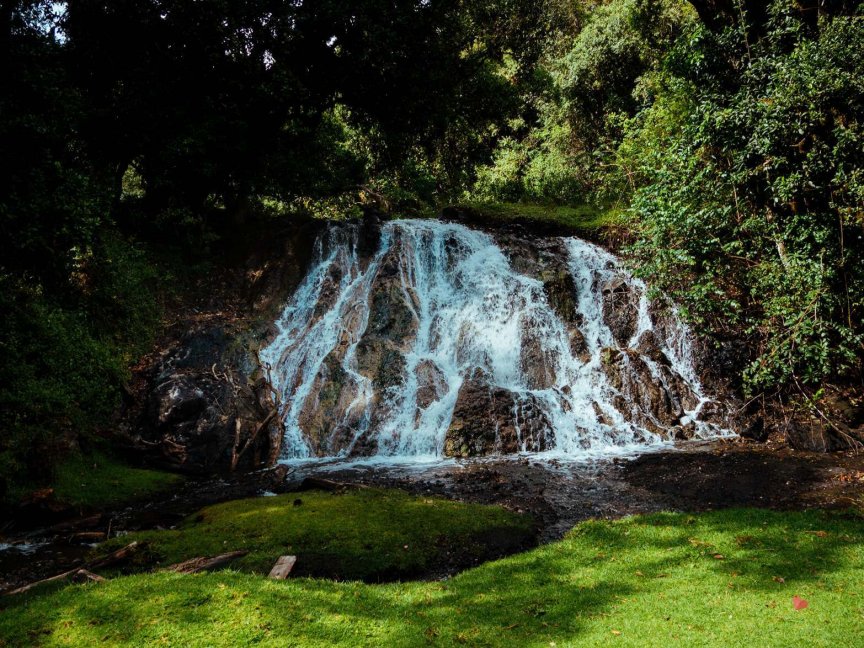 Wald Mount Meru Trekking