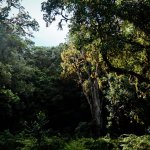 Trekking auf den Mount Meru