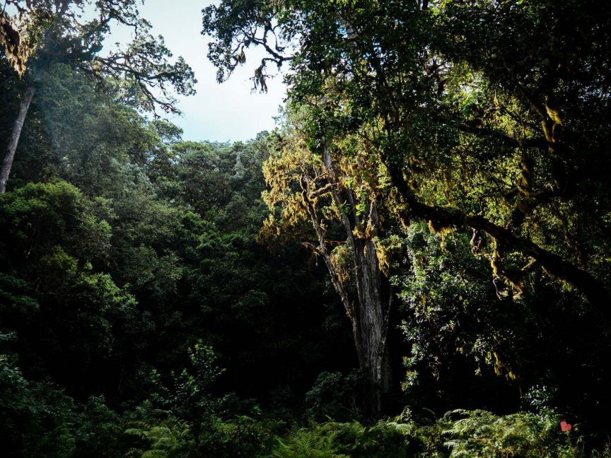 Trekking auf den Mount Meru