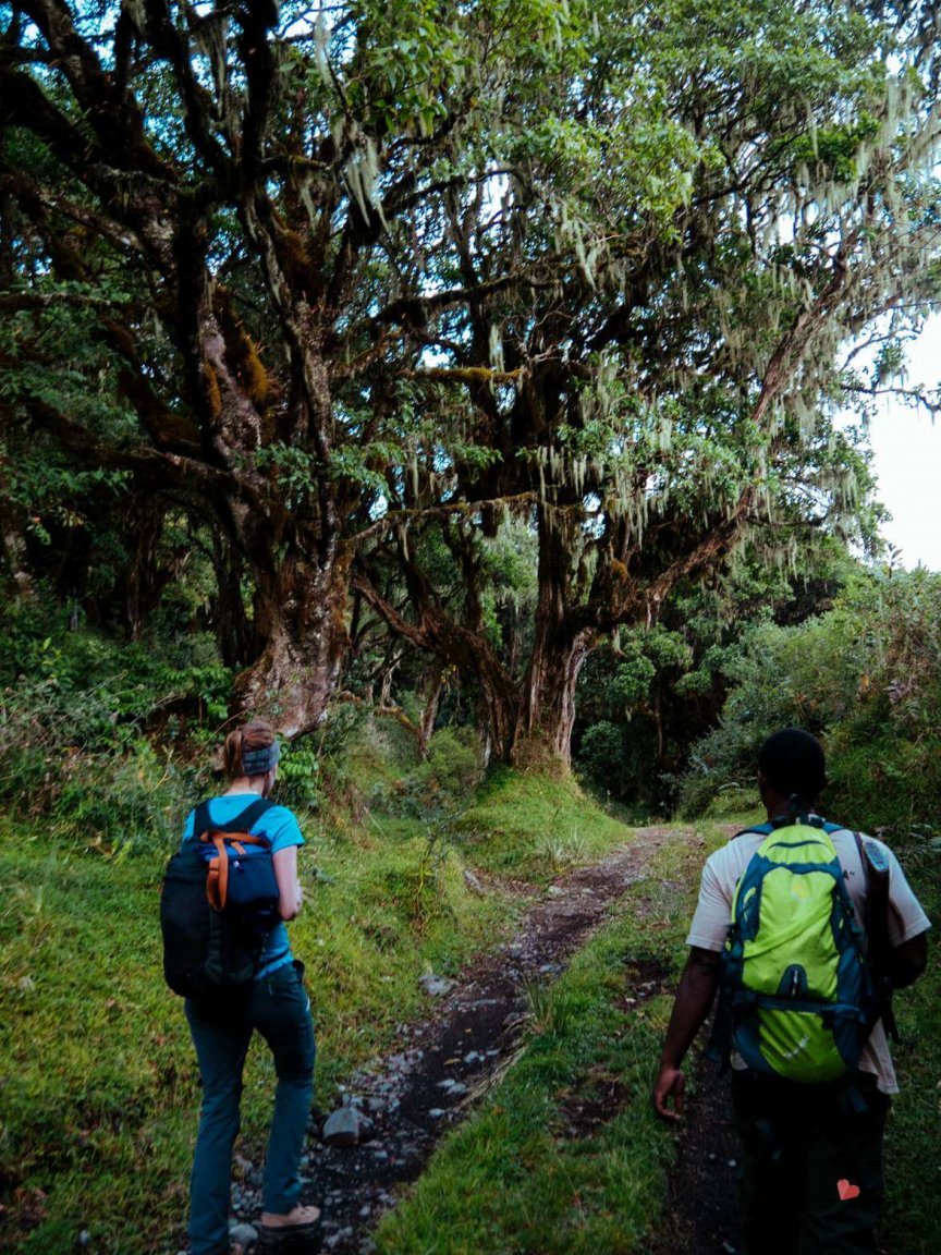 Trekking auf den Mount Meru