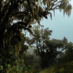 Trekking auf den Mount Meru