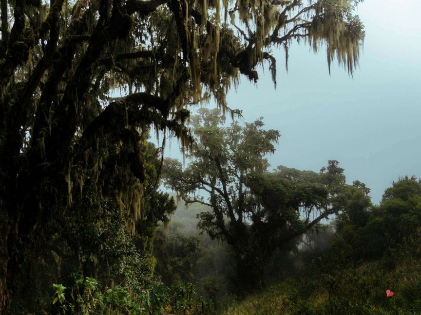 Trekking auf den Mount Meru