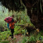 Trekking auf den Mount Meru