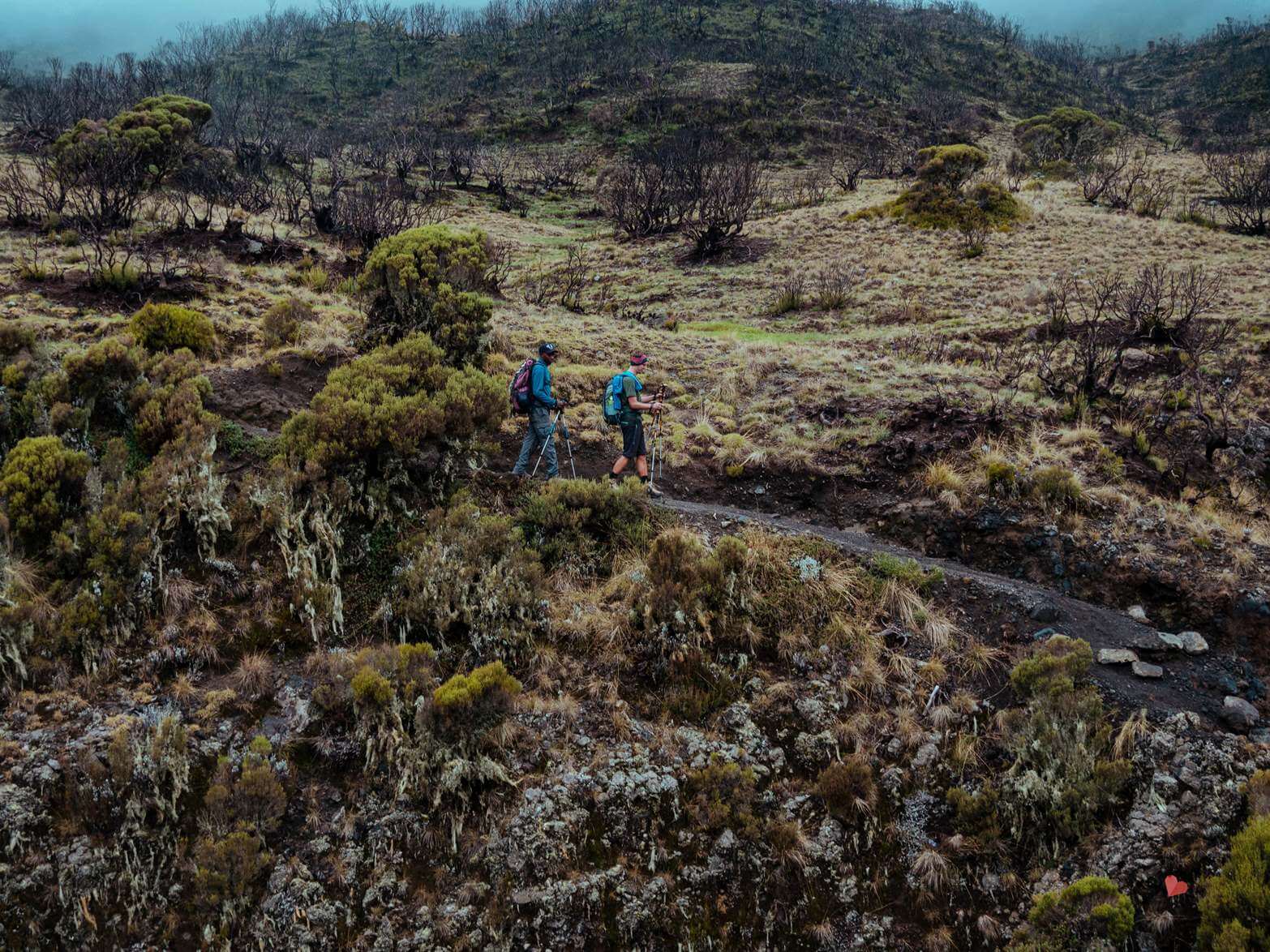 Mount_Meru_Trekking_Tanzania_Expeditions-67