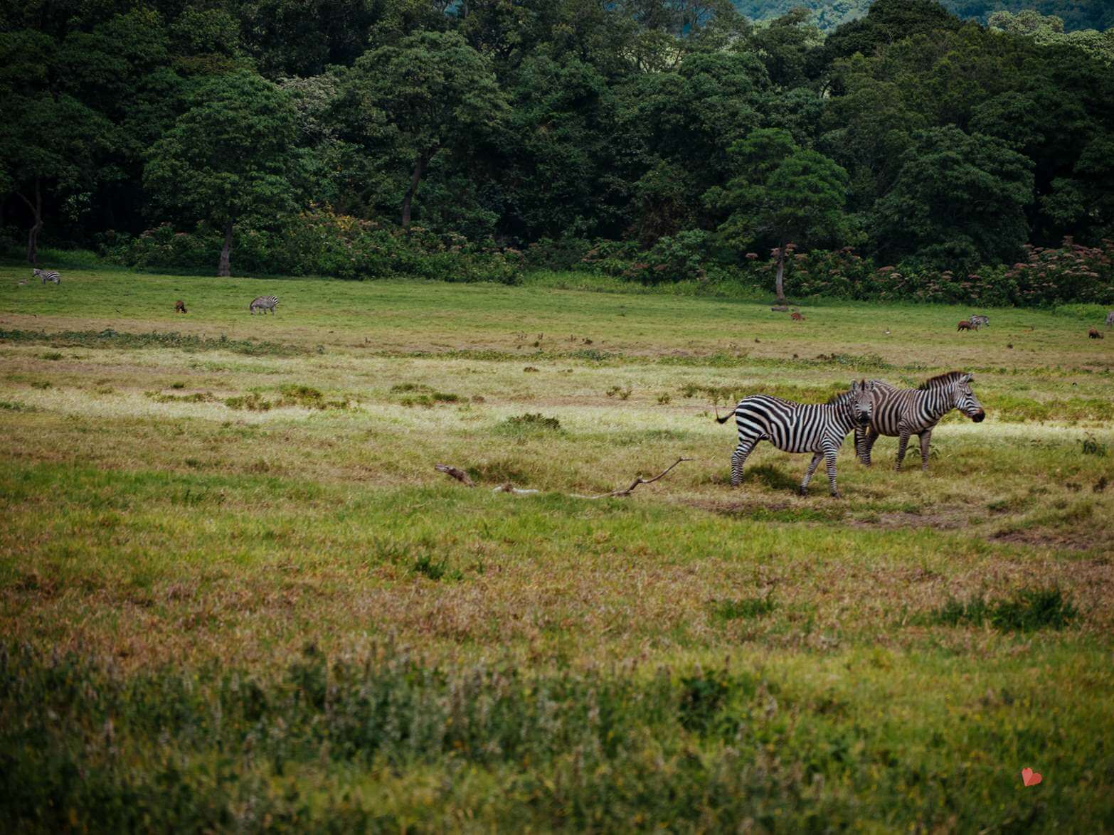 Mount_Meru_Trekking_Tanzania_Expeditions