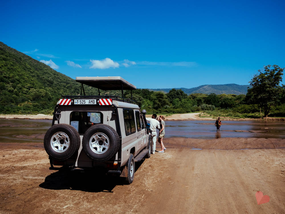 Safari in Tansania