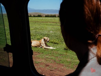 Safari in Tansania