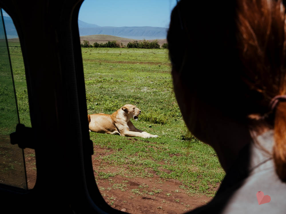 Safari in Tansania