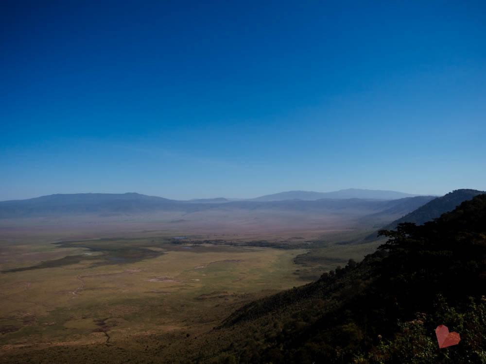 Safari in Tansania