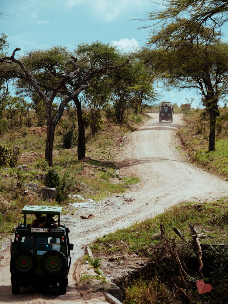 Safari im Tarangire Nationalpark