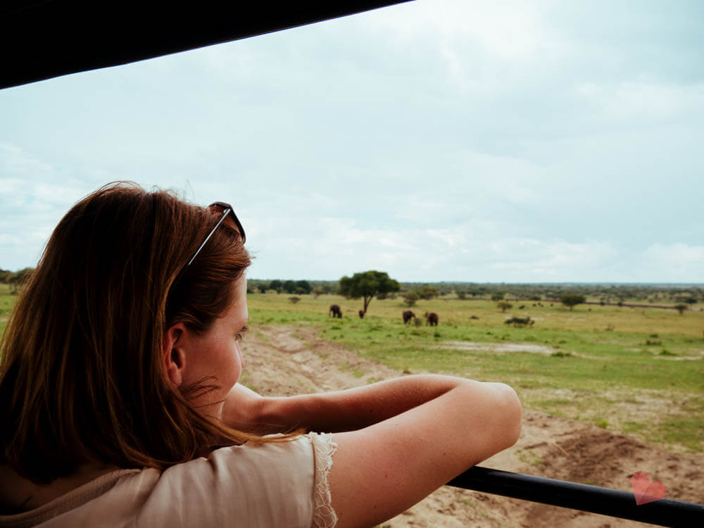 Safari in Tansania