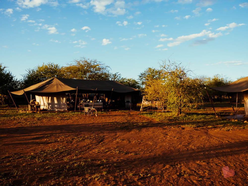 Ronjo Camp Serengeti