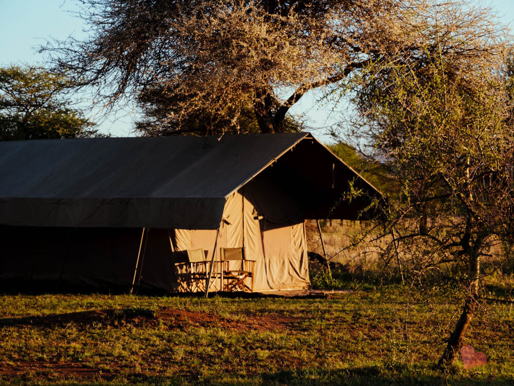 Safari in Tansania