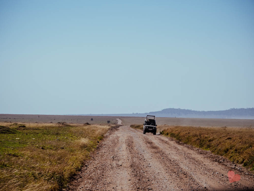 Straße in der Serengeti