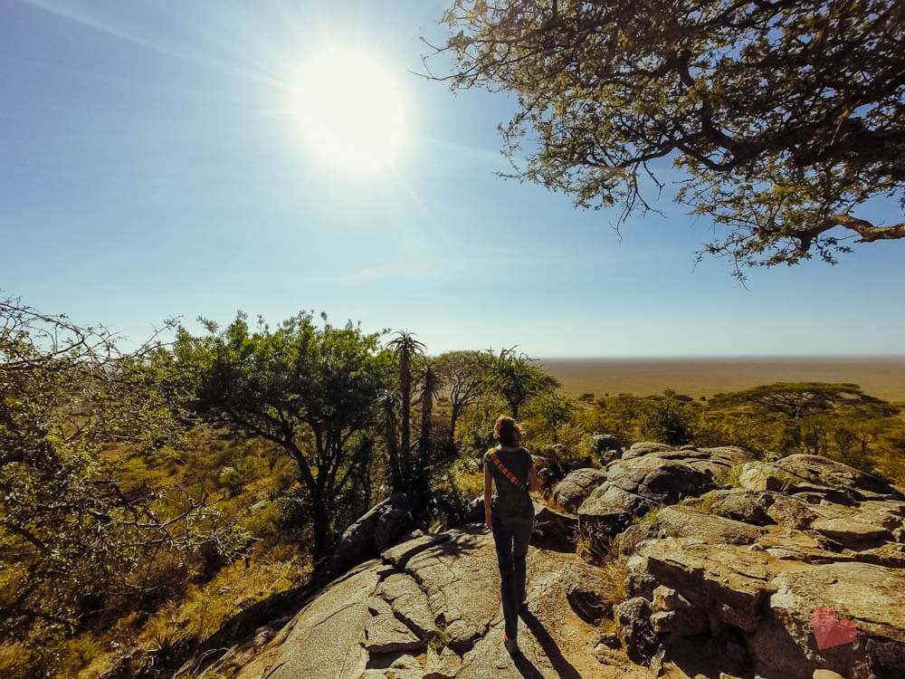 Aussichtspunkt beim Serengeti Park Eingang