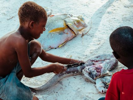 Fisch in Matemwe