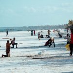 Strand von Matemwe