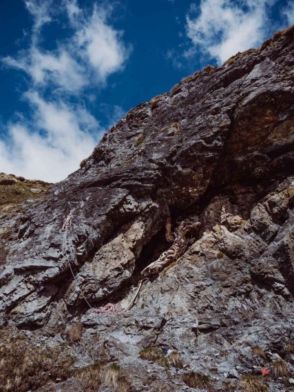 Baumstamm im Fels bei der Sesvenna Hütte