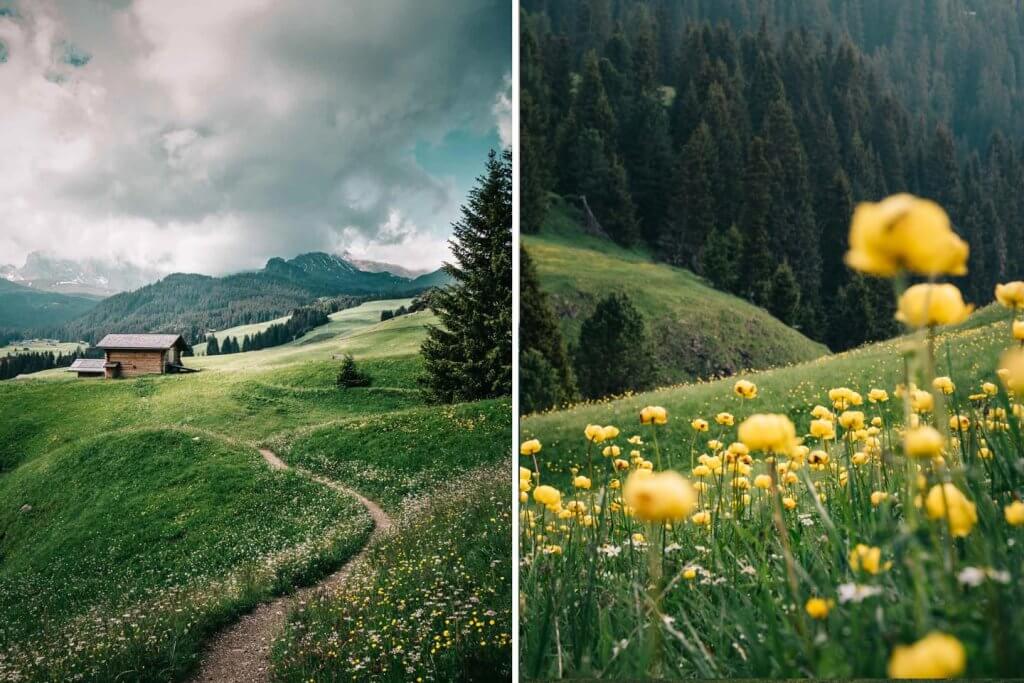  Urlaub in den Dolomiten - Wanderung auf der Seiser Alm