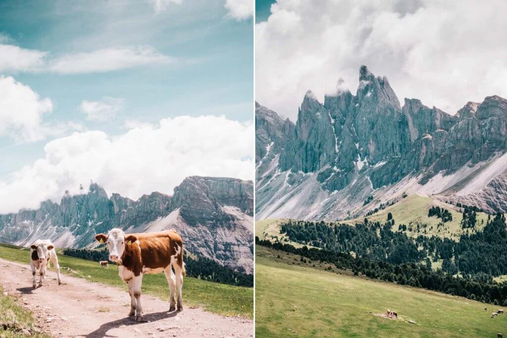  Urlaub in den Dolomiten - Wanderung Raschötz - Puez-Geisler - Blick auf Seceda