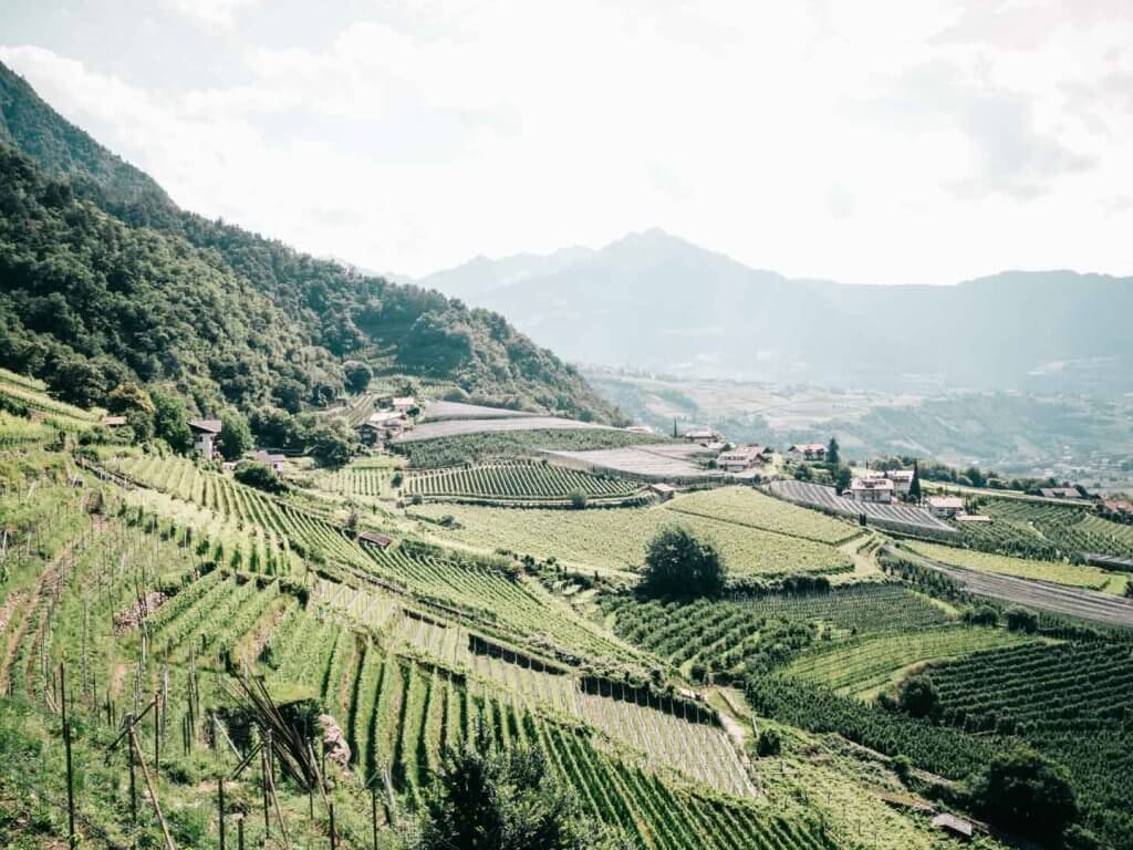 Algunder Waalweg - Urlaub in Meran